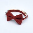 thumbnail image 5 of Mosey Attractive Pet Collar Delicate   for Taking Photo   Comfortable, 5 of 7