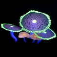 thumbnail image 4 of SPRING PARK Aquarium Decorations,Simulation Luminous Dotted Artificial Anemone, Plastic Aquarium Ornament Decorations for Fish Tank Decorations, 4 of 7