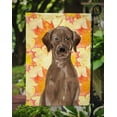 thumbnail image 3 of Carolines Treasures BB9505GF Chocolate Labrador Fall Flag Garden Size, 3 of 3