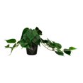thumbnail image 2 of Planta Artificial Home Trends 25x20 cm Maceta Negra, 2 of 4