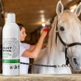 thumbnail image 5 of Nexderma Pet Herbal Antibacterial & Antifungal Hot Spot, Itch Relief Medicated Shampoo for Dogs, Cats & Horses - 16 Ounce, 5 of 10