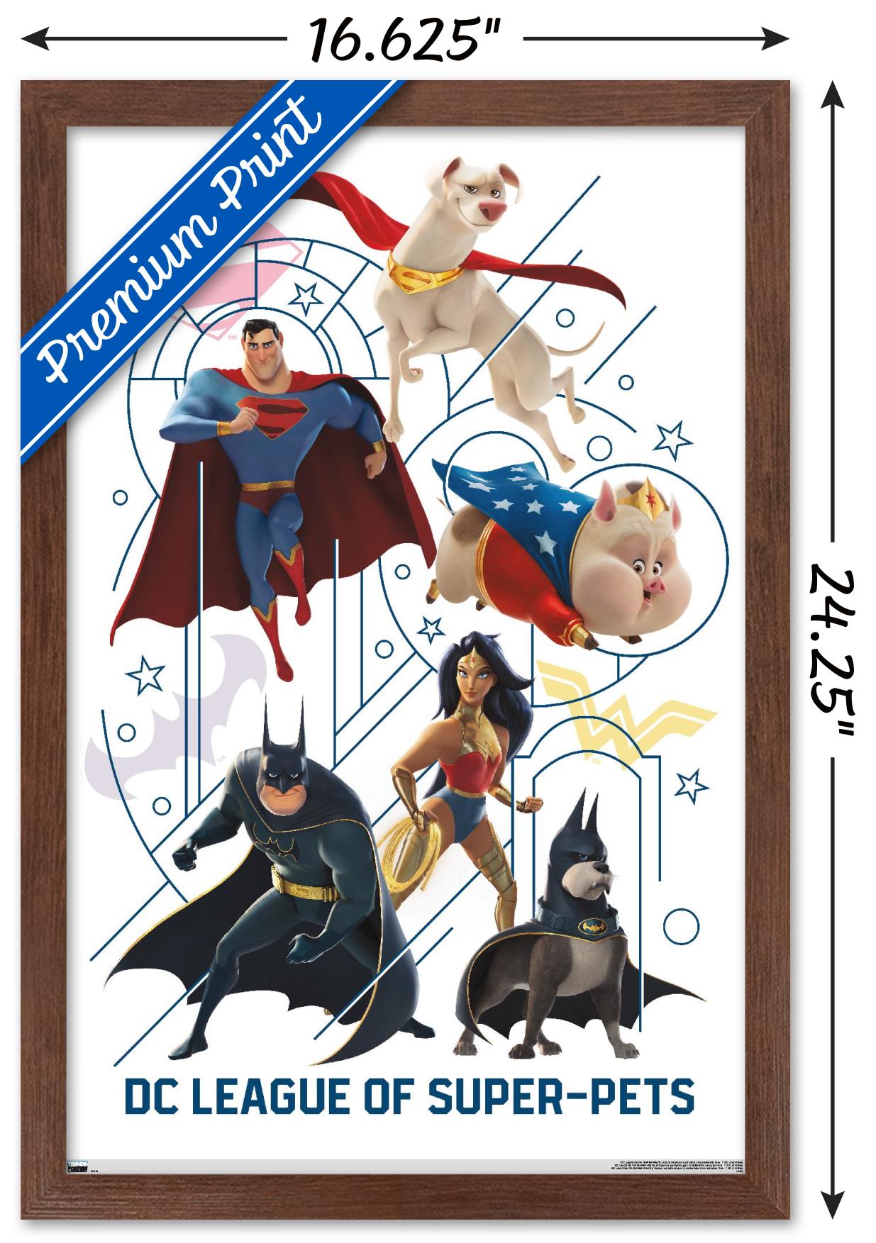 DC Comics Movie DC League Of Super-Pets - Counterparts Wall Poster, 14.725" x 22.375" Framed