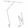 Desk Lamp with Clamp