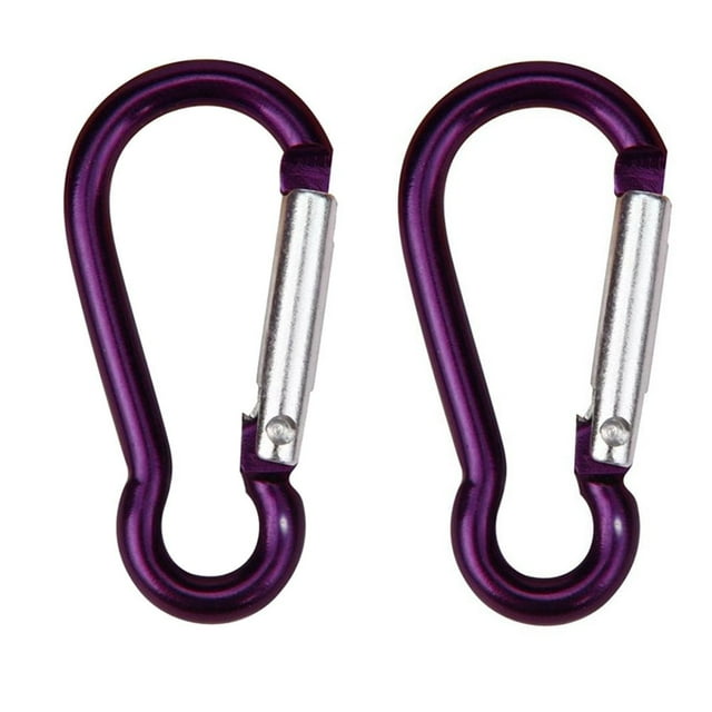 CNKOO Boc 2 Pcs Mousqueton en Alliage D'Aluminium en Forme de D Crochets à Ressort Porte-Clés d'Escalade