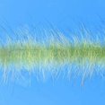 thumbnail image 2 of EP Senyo Chromatic Brush 1.5" Wide (Lizard), 2 of 4