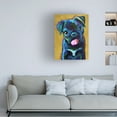 thumbnail image 3 of Robert Phelps Art 'Pug Puppy' Canvas Art, 3 of 3