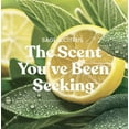 thumbnail image 5 of Yankee Candle Sage & Citrus Yankee Home/Car Fragrance Gift Set with a Concentrated Room Spray, a ScentBeads Fragrance Sphere, a Mini Candle and a Sage & Citrus Car Jar 4pc in an Organza Gift Bag, 5 of 6
