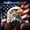 Navy Brown, variant on Manfei Eagle Usa Flag Kitchen Curtains,July 4Th Fireworks Black Out Curtains Pack of 2 (42x63 Each),Brown Red Blue