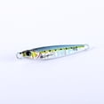 thumbnail image 4 of Equipo de pesca Weihai para peces de plomo de aleación de tungsteno Cebo Luya de lanzamiento lejano Peces de tungsteno Placa de acero de tungsteno Cebo de tungsteno luminoso, 4 of 6