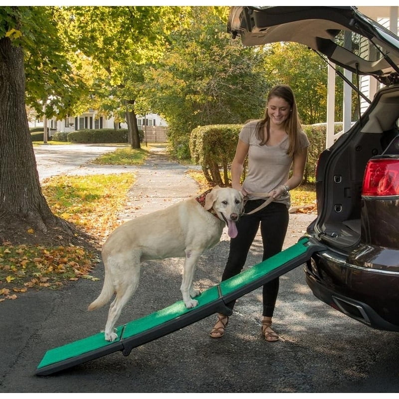 tri fold dog ramp for car