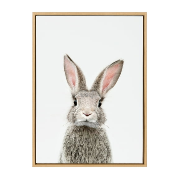Kate and Laurel Sylvie Female Baby Bunny Rabbit Animal Print Portrait Framed Canvas Wall Art by Amy Peterson, 23x33 Natural