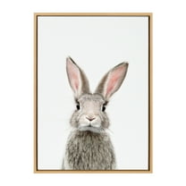 Kate and Laurel Sylvie Female Baby Bunny Rabbit Animal Print Portrait Framed Canvas Wall Art by Amy Peterson, 23x33 Natural