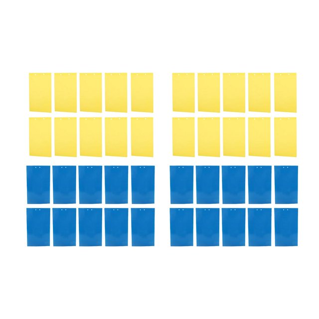 Paquete de 40 trampas de moscas adhesivas dobles para de mosca de plantas de interior, azul y amarillo