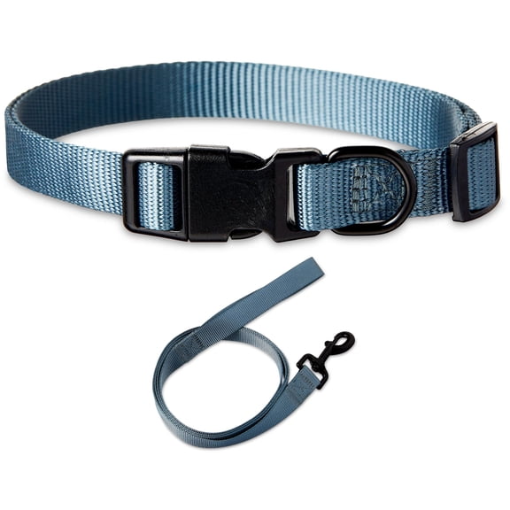 Vibrant Life Solid Polyester Adjustable Dog Collar, with 6ft Dog Leash, Gray, Medium