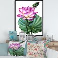 thumbnail image 2 of Designart 'Ancient Pink Lotuses In The Pond VI' Traditional Framed Canvas Wall Art Print, 2 of 5