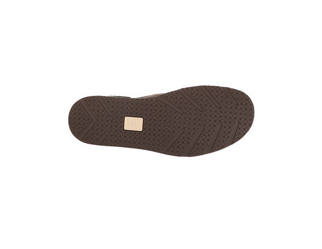 ariat cruiser metallic bronze