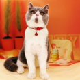 thumbnail image 5 of Basic Adjustable Cat Collar Bling Diamond Breakaway with Bell for Kitten Girl boy, 5 of 6