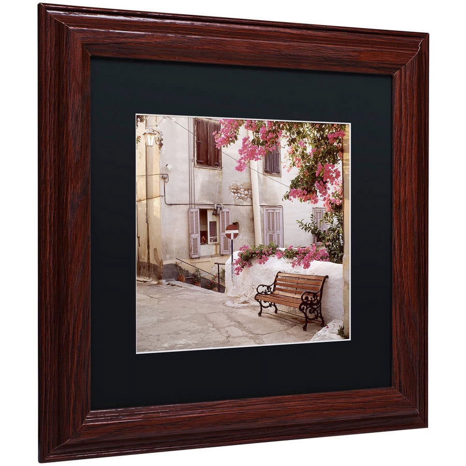 Trademark Fine Art "Provence I" Canvas Art by Alan Blaustein, Black Matte, Wood Frame