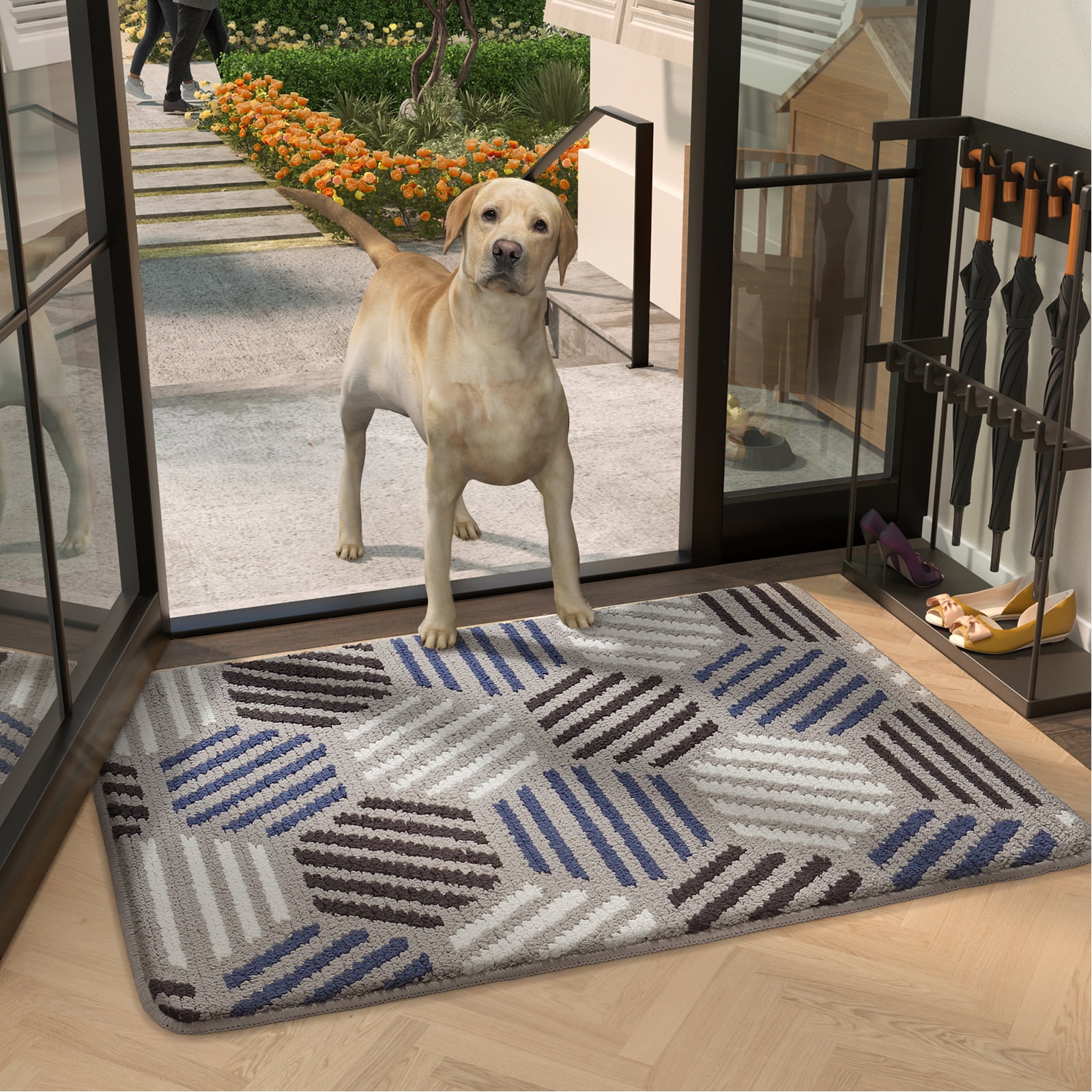 Color G Indoor and Outdoor Doormat, Anti Slip Front Door Mat for