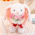thumbnail image 1 of Binmer Adorable Plush Toys for Valentine's Day and Easter - Pandas, Rabbits, and Bears, 1 of 2