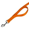 thumbnail image 5 of Country Brook Petz - Vibrant 17 Color Selection - Heavyduty Doublehandle Nylon Leash (6 Foot, 3/4 Inch Wide, Orange), 5 of 6