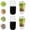 2 SET, variant on Premium Sprouting Kit with Wide Mouth Glass Mason Jars, Stainless Steel Mesh Lids, Blackout Sleeves, Complete Organic Growing System for Broccoli Alfalfa Mung Beans, Kitchen Gift