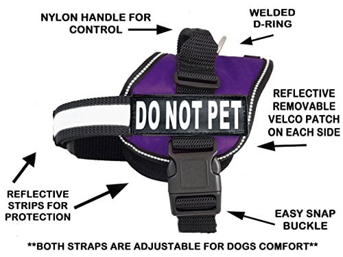 dog in training do not pet vest