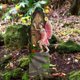 thumbnail image 1 of Gran puerta de hadas Elf Pixie Steps Madera Piedra Miniatura ín de hadas Adorno Estatuilla al aire libre Árbol Decoración 19 cm de Macarena puerta de hadas, 1 of 8