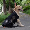thumbnail image 2 of Dog Carrier Backpack For Small And Medium Pets Front Facing Adjustable Dog Backpack Carrier Fully Ventilated, 2 of 4