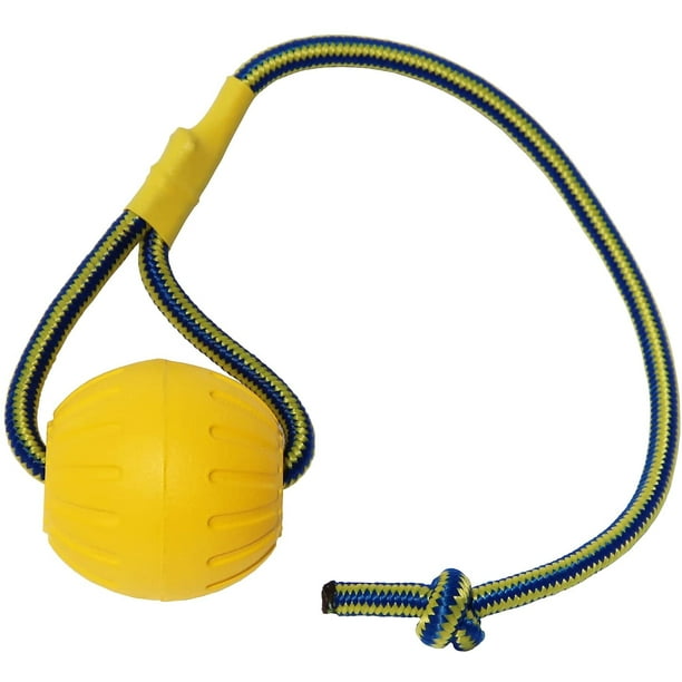 Dog training ball on rope hot sale