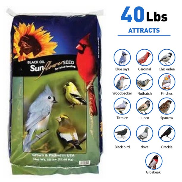 Black Oil Sunflower Seed 40 Pounds
