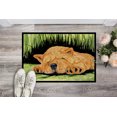 thumbnail image 2 of Carolines Treasures SS8526JMAT Chow Chow Doormat - 24 x 36 in., 2 of 4
