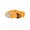 Bright Orange / Gray, variant on Siberian Spruce Waterproof Dog Collar