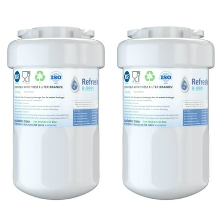 

Replacement For GE GSS23HSHBCSS Refrigerator Water Filter - by Refresh (2 Pack)