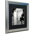 thumbnail image 2 of Trademark Fine Art "Lake Vista III" Canvas Art by Alan Blaustein, Black Matte, Silver Frame, 2 of 4