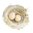 thumbnail image 3 of Prime, Marcus 15x15 Black Modern Framed Museum Art Print Titled - Pleasant Nesting, 3 of 5