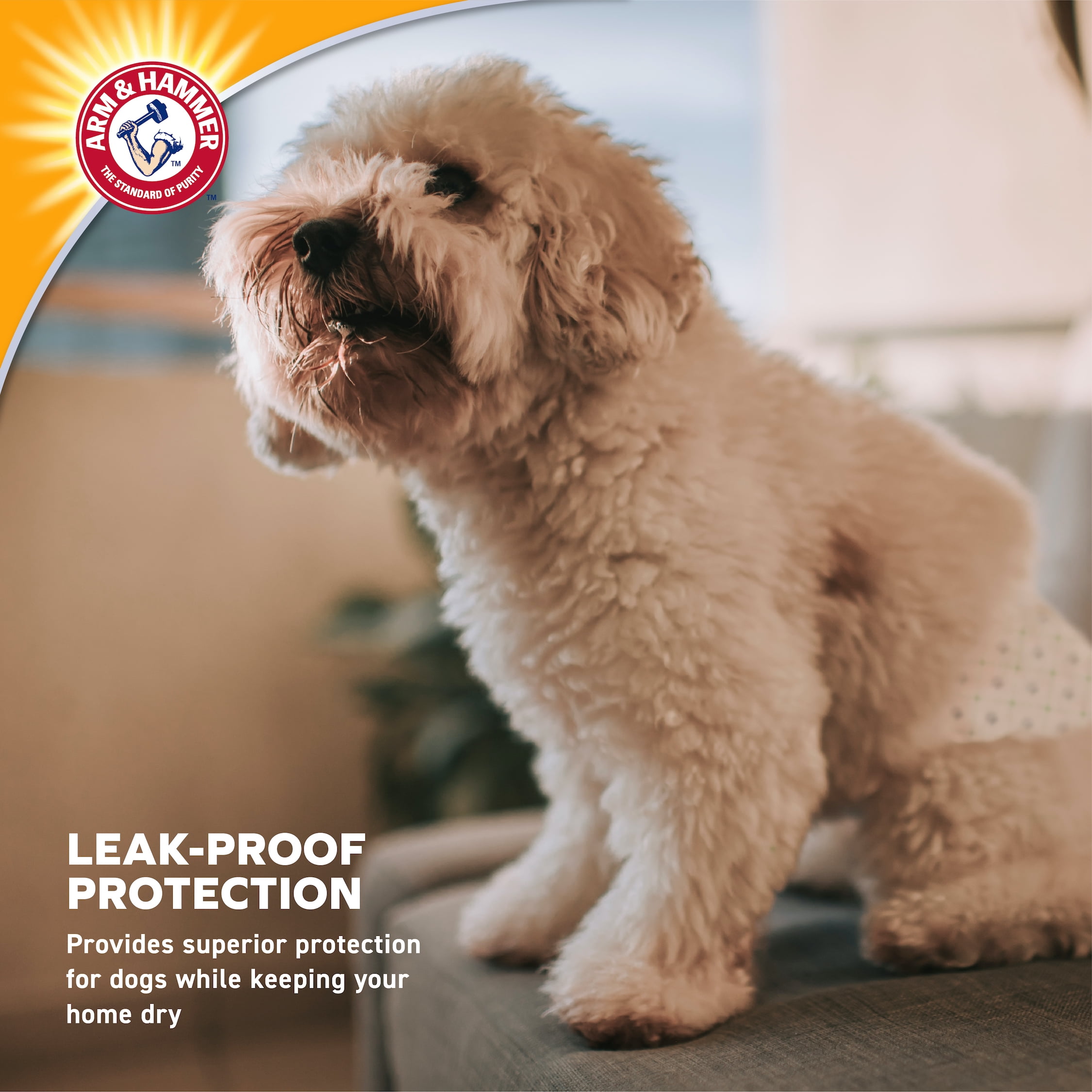 Arm & Hammer Male Dog Wraps, Size Large, 12 Count | Ultra-Absorbent with Leak-Proof Protection