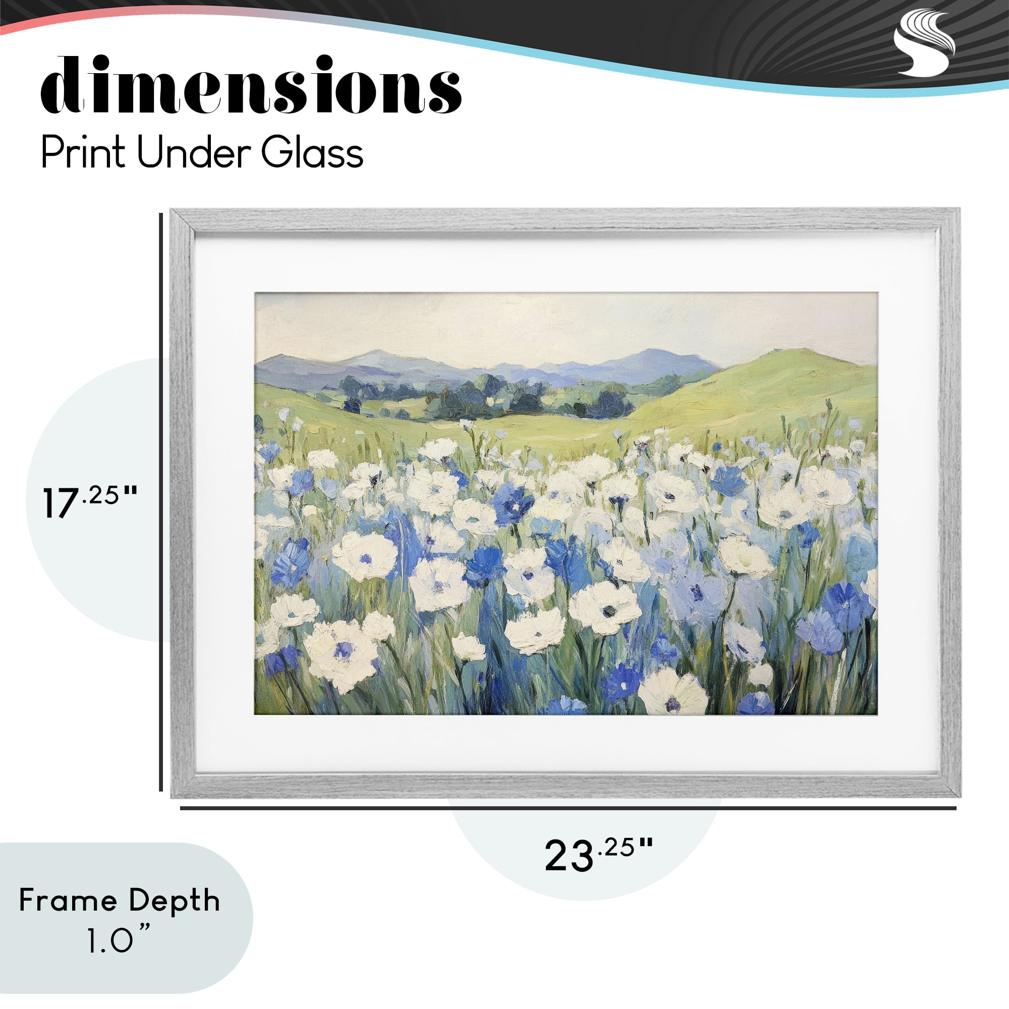 Stupell Industries Blue & White Daisies Gray Framed Print Under Glass, design by Petal Prints Design