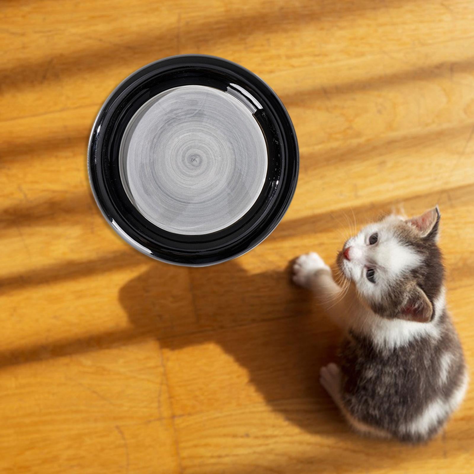 Ceramic Cat Bowl Wide and Flat Dish Durable Stable Cat Food Dish Cat Plates for Small and Medium Pet Cats Small Animals Puppy , Round Large