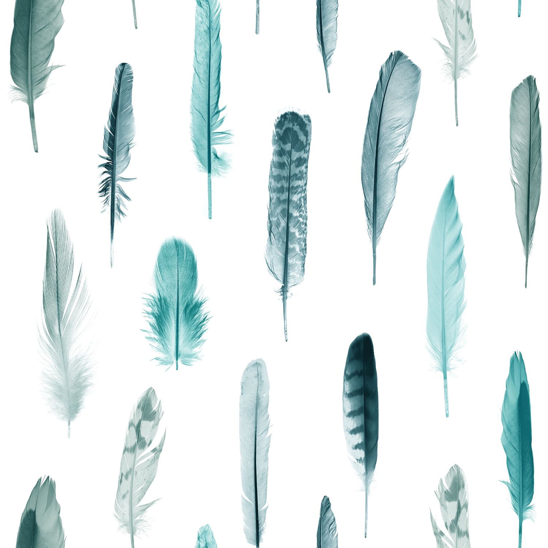ESTA Home Nala Turquoise Feathers Wallpaper - Walmart.com