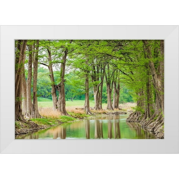 Wilson, Emily M. 14x11 White Modern Wood Framed Museum Art Print Titled - Waring-Texas-USA-Trees along the Guadalupe River in the Texas Hill Country