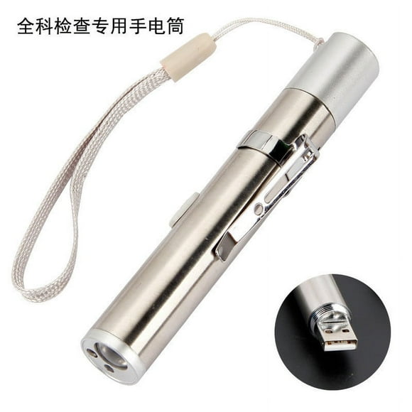 Riforla Jouet pour Chat Lampe de Poche Trois Modes de Lumière Lampe de Poche Rechargeable USB Argent