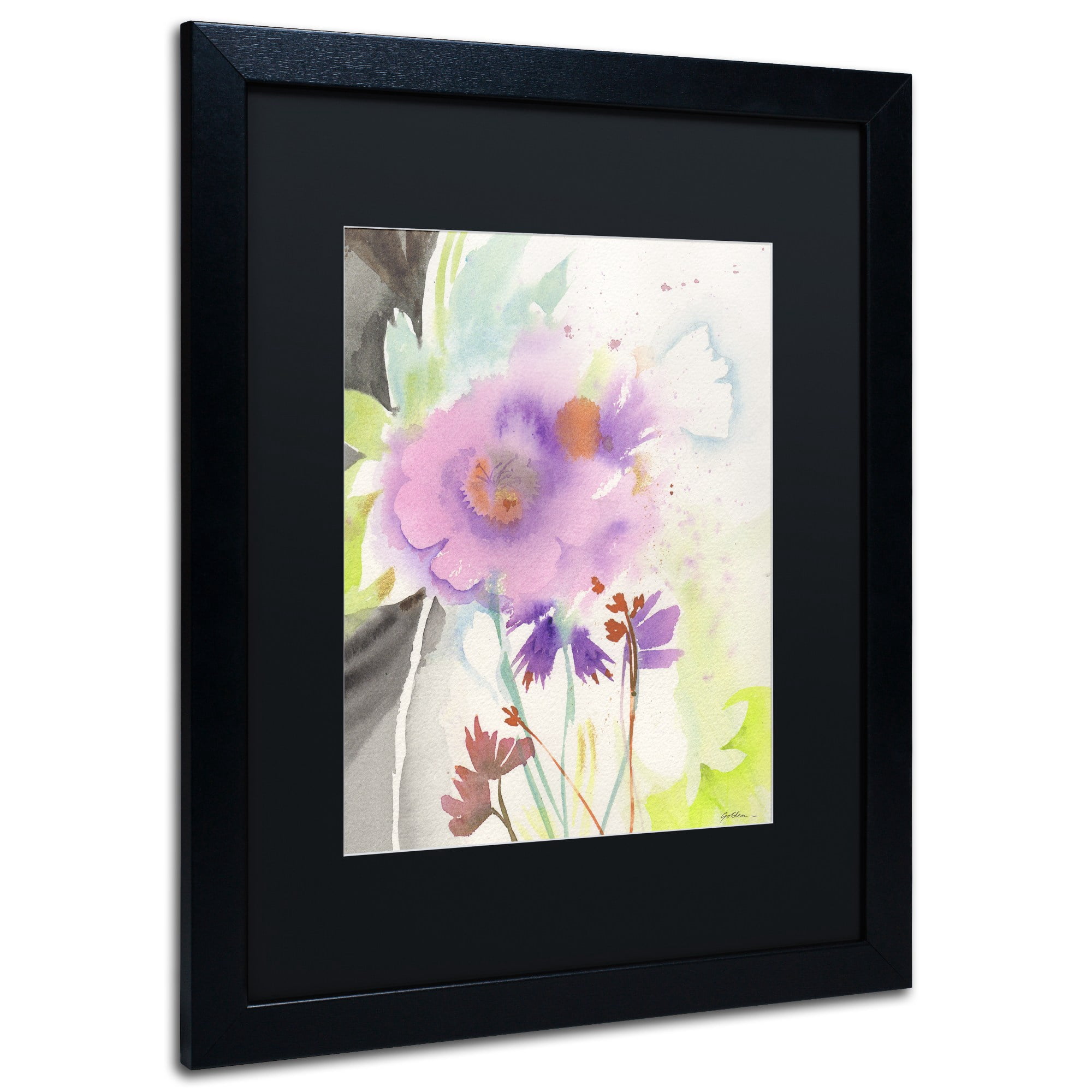 Trademark Fine Art "Mauve Garden Shadows" Canvas Art by Sheila Golden, Black Matte, Black Frame