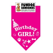 Fun Dog Bandana - Birthday Girl - One Size Fits Most for Med to Lg Dogs, hot pink pet scarf