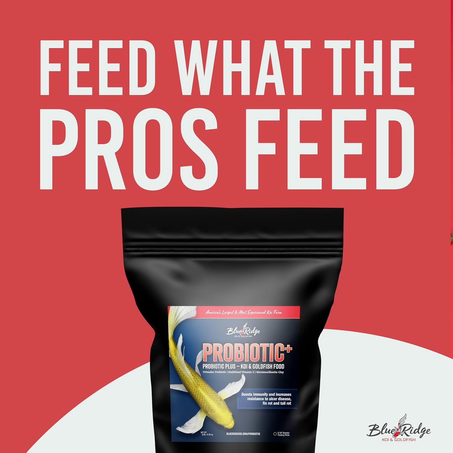 Blue Ridge Koi Fish Food 2lb - Koi Food 3/16” Probiotic Plus, Goldfish Food, Premium Fish Food for Ponds, Ponds Fish Food, Koi Food Fall and Winter Fish Food, Floating Pond Pellets