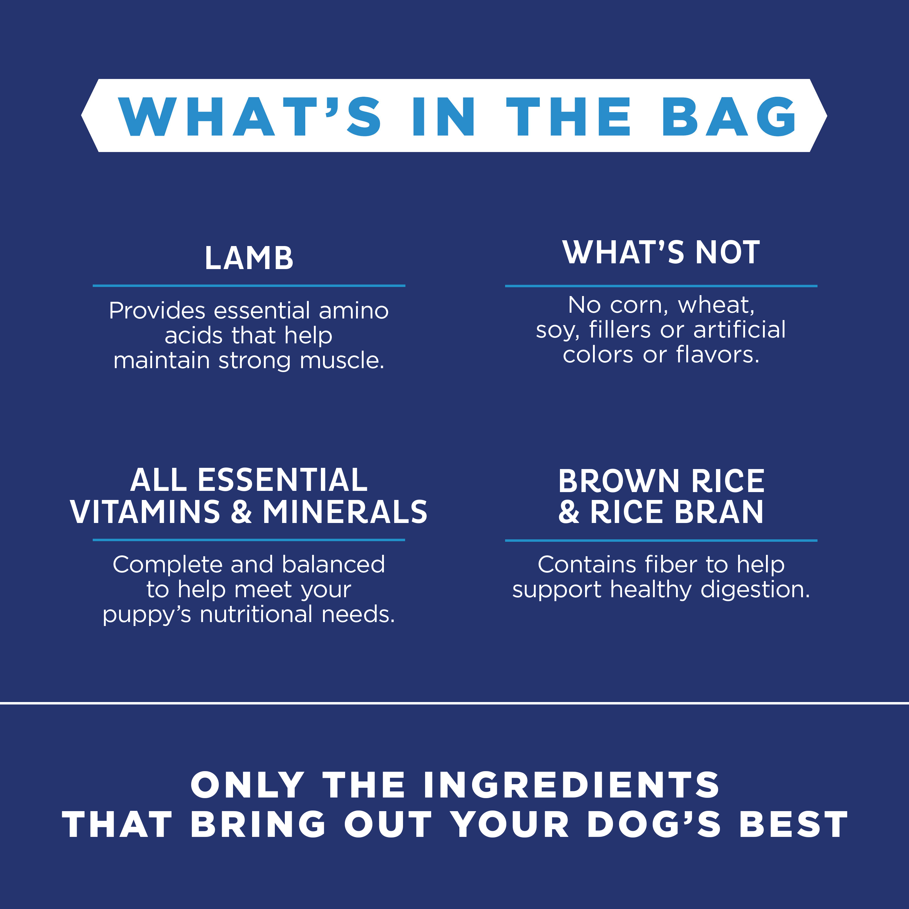 Natural Balance Puppy Formula Lid Limited Ingredient