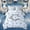 Blue C, variant on Feelyou Cartoon Letter D Twin Bedding for Kids, Football Soccer Print Bedding Comforter Set, Reversible, 7-Piece