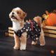 thumbnail image 5 of Divertidos suministros para mascotas de Halloween, esqueleto para fiesta de mascotas, conjunto de falda colgante de esqueleto de perro, conjunto para fiesta de perros, 5 of 7
