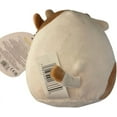 thumbnail image 2 of Squishmallow Easter Squad Spring 2023 Squishy Stuffed Animal Toy Plush 5" Ronnie, 2 of 2