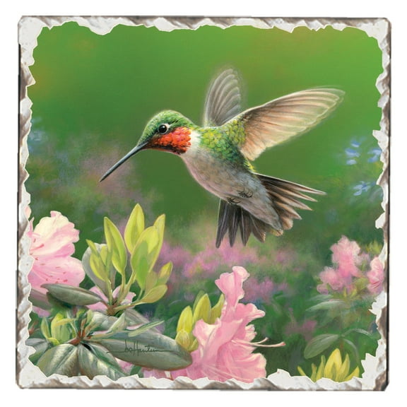 Absorbent Stone Tumbled Tile Coasters, Hummingbird #1, Set of 4